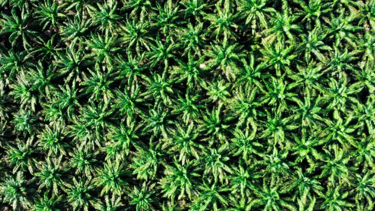 shutterstock_2176341003_1280px